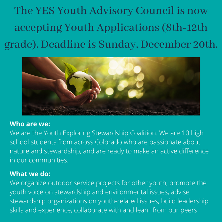 Youth Projects - Youth Enquiry Service